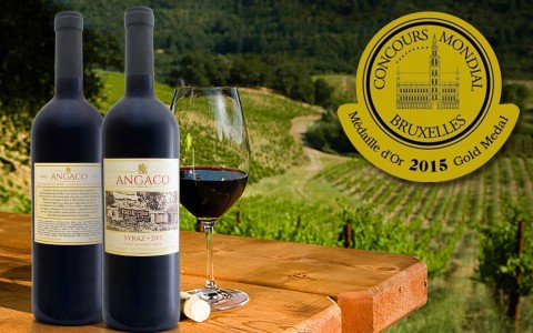 Vinho Angaco – um brinde ao Sucesso